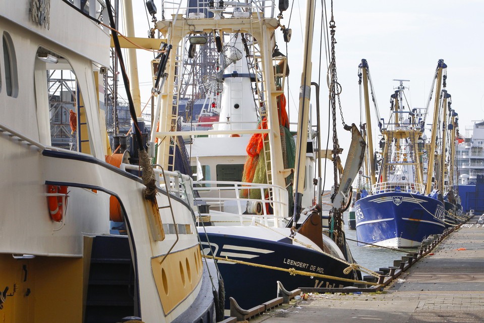 Vissersboten langs de kant van de haven van IJmuiden.