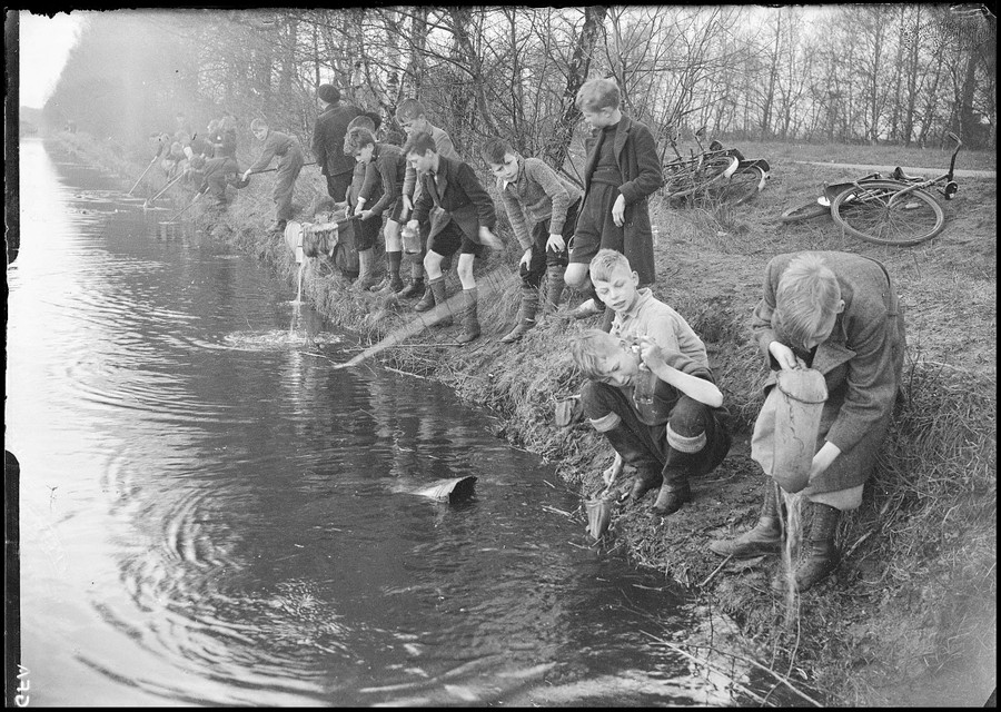 Een groep jongens (scholieren?) doet onderzoek naar het waterleven. Waar en wanneer is deze foto gemaakt?