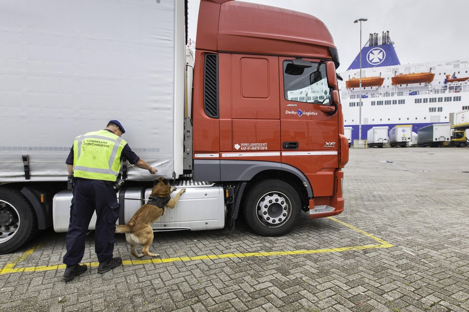 De marechausssee en teams van defensie speuren bij de ferry IJmuiden-Newcastle twee keer per dag naar illegale migranten.