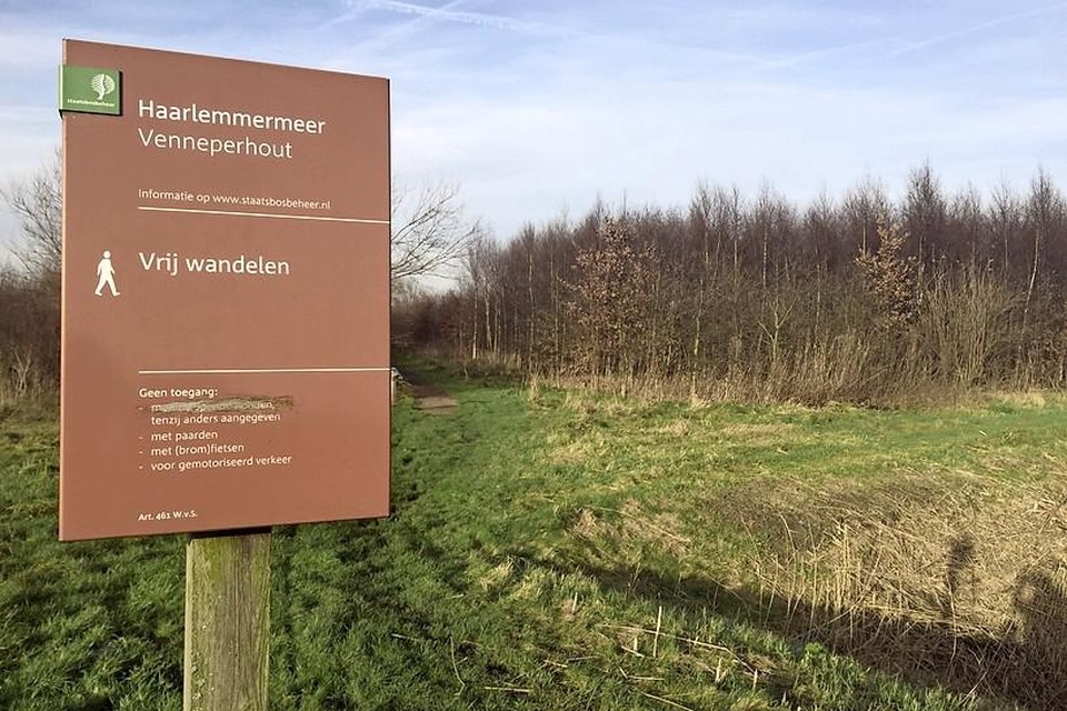 De Venneperhout is een natuurgebied zoals de Vogelwerkgroep het graag ziet.