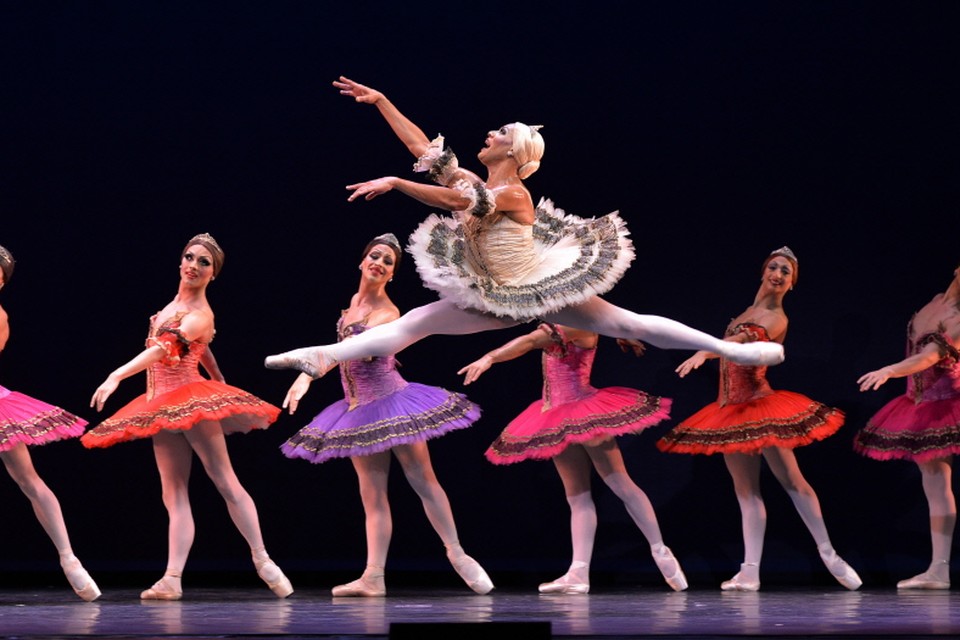Les Ballets Trockadero de Monte Carlo komt deze maand naar Nederland. Foto AFP