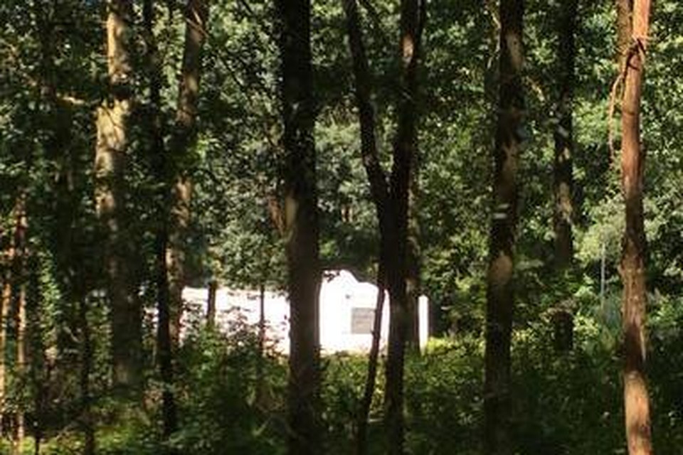 Het tijdelijke honk van de scouts in het bos, gezien van de Vredelaan in Laren.
