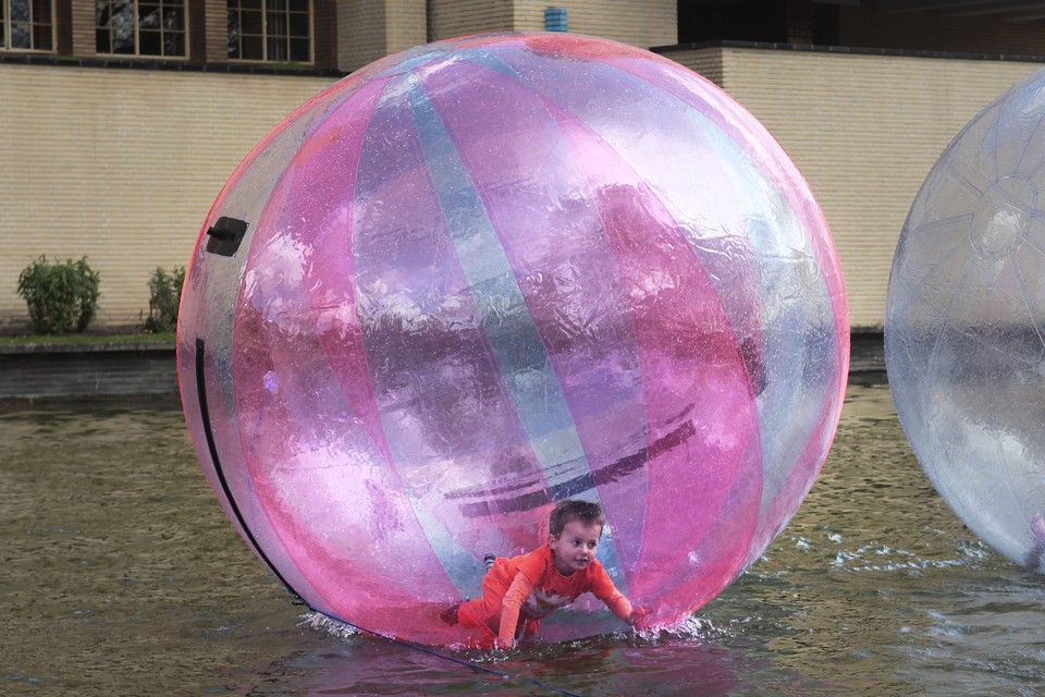 Waterpret in een plastic bol op de Raadhuisvijver te Hilversum.