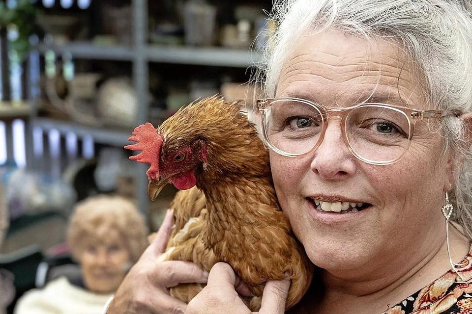Sylvia Schilling haalde de kippen voor Breezicht.