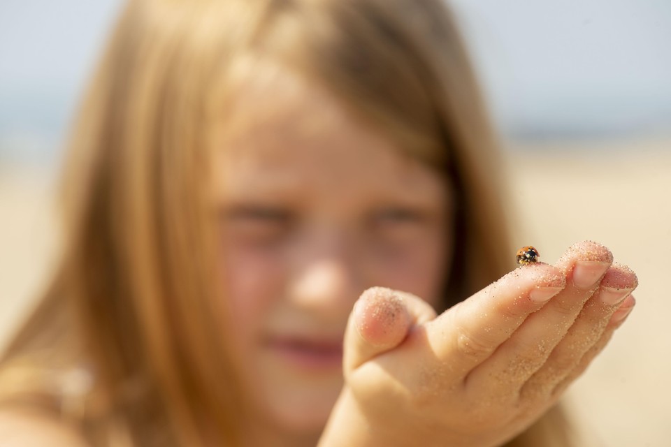 Meisje op het strand van Katwjk bestudeert een lieveheersbeestje.