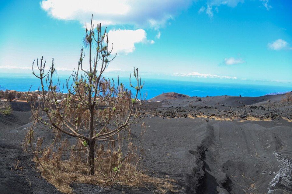 Het vulkanische eiland La Palma: niet altijd een paradijs.