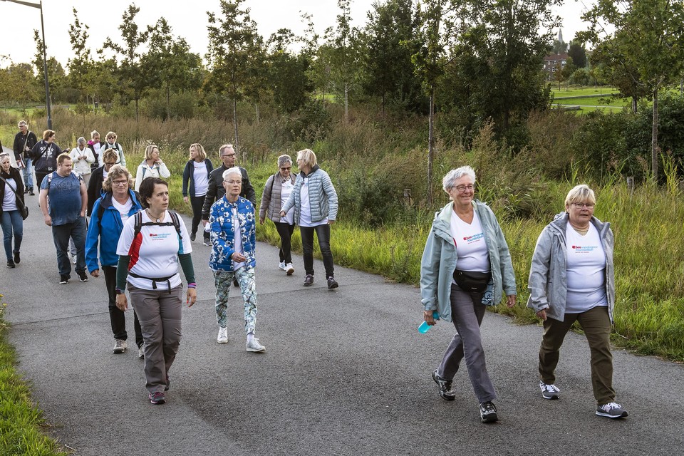 Wandelaars van de Diabetes Challenge zetten koers richting het Liewegje.