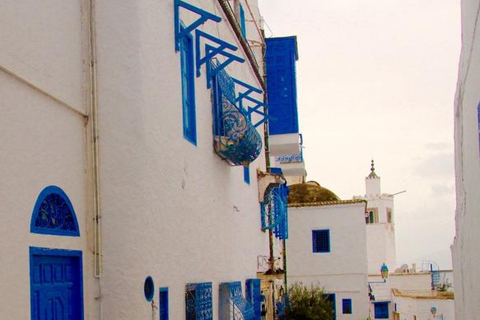 Het blauw-witte stadje Sidi Bou Said.