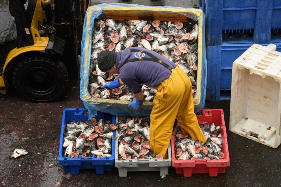 Britse visser brengt zijn vangst aan wal.