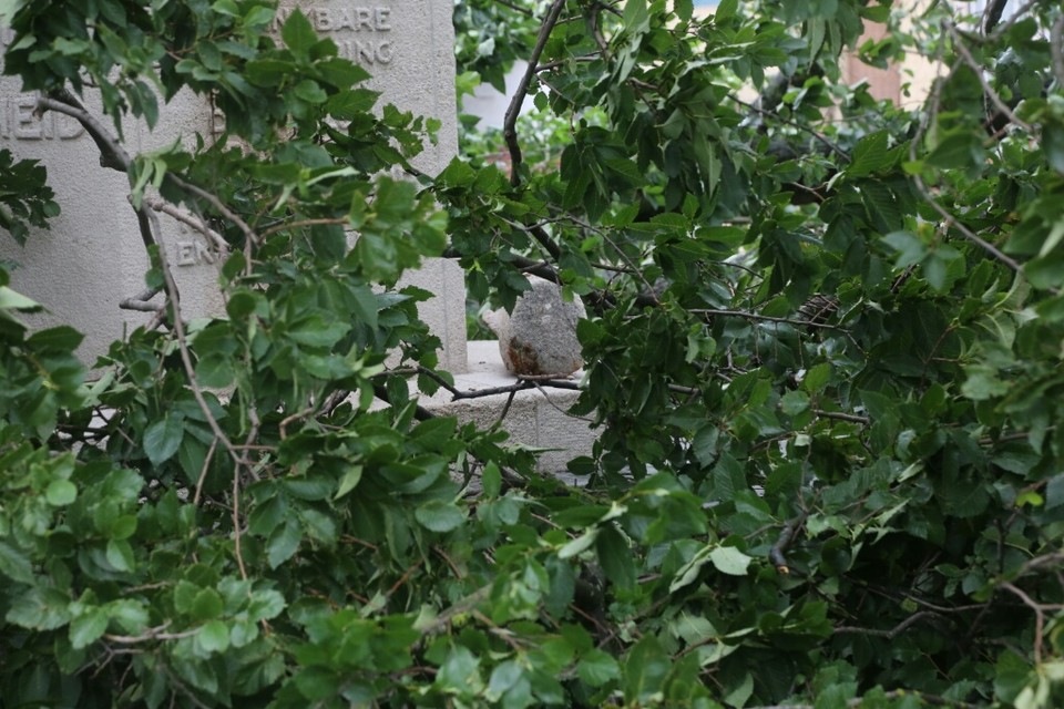 Het hoofd van een van de figuren van het monument is op de sokkel belandt door de boom.