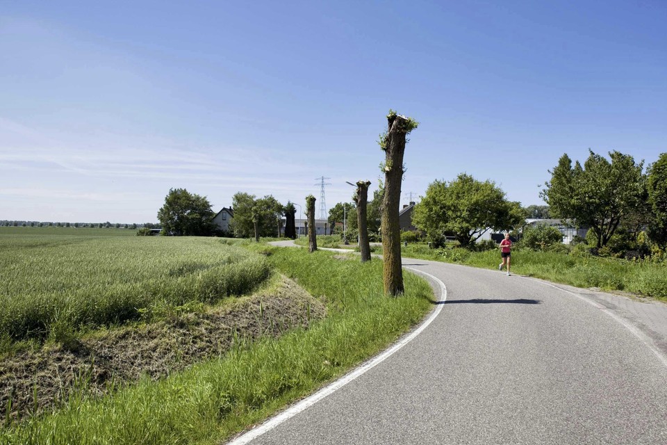Turfspoor in Lisserbroek is nu nog een landelijke weg, maar aan de rechterkant komt op termijn woningbouw.