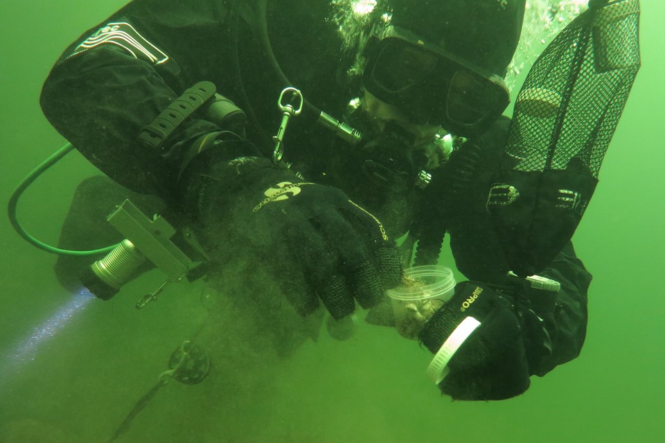 Even wat mossels scoren voor nader onderzoek. Onderwaterfoto’s Axel Gunderson