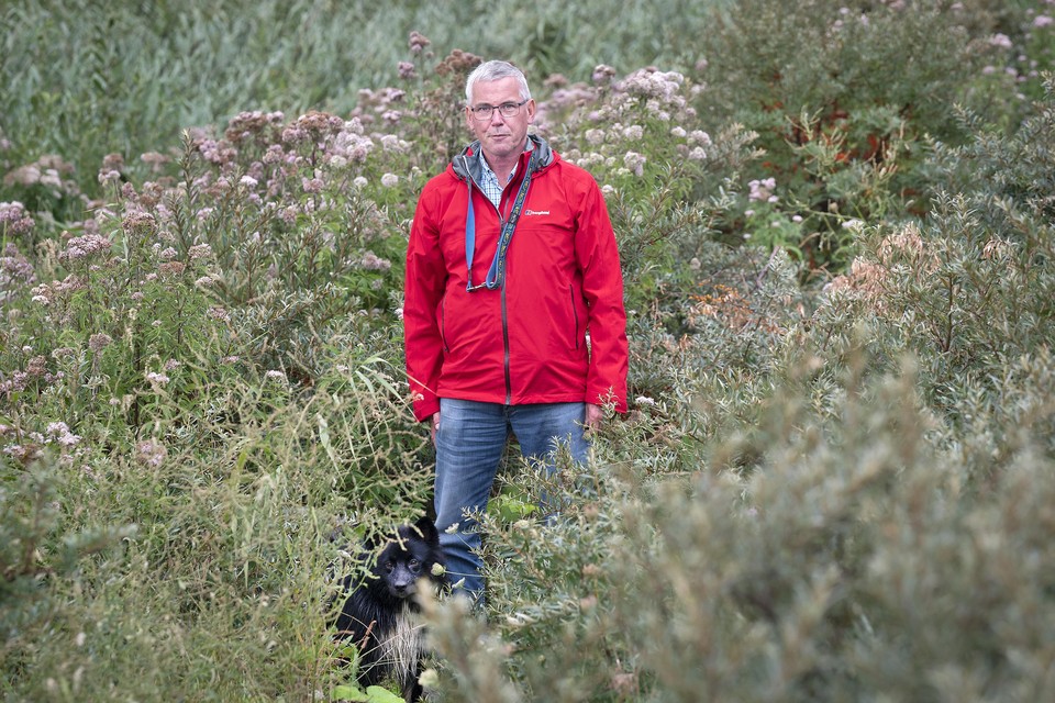 Johan van Ikelen met zijn IJslandse hond Öfgar in het duingebied, waar hij nog wel mag lopen alleen is het daar behoorlijk begroeid.