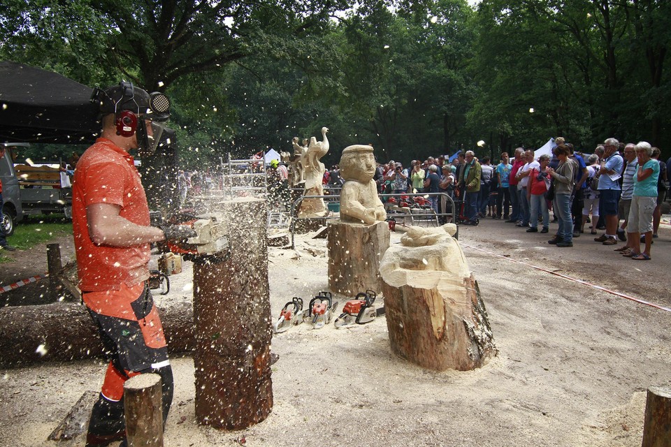 Het NK Sculptuurzagen ook dit jaar weer in Lage Vuursche.