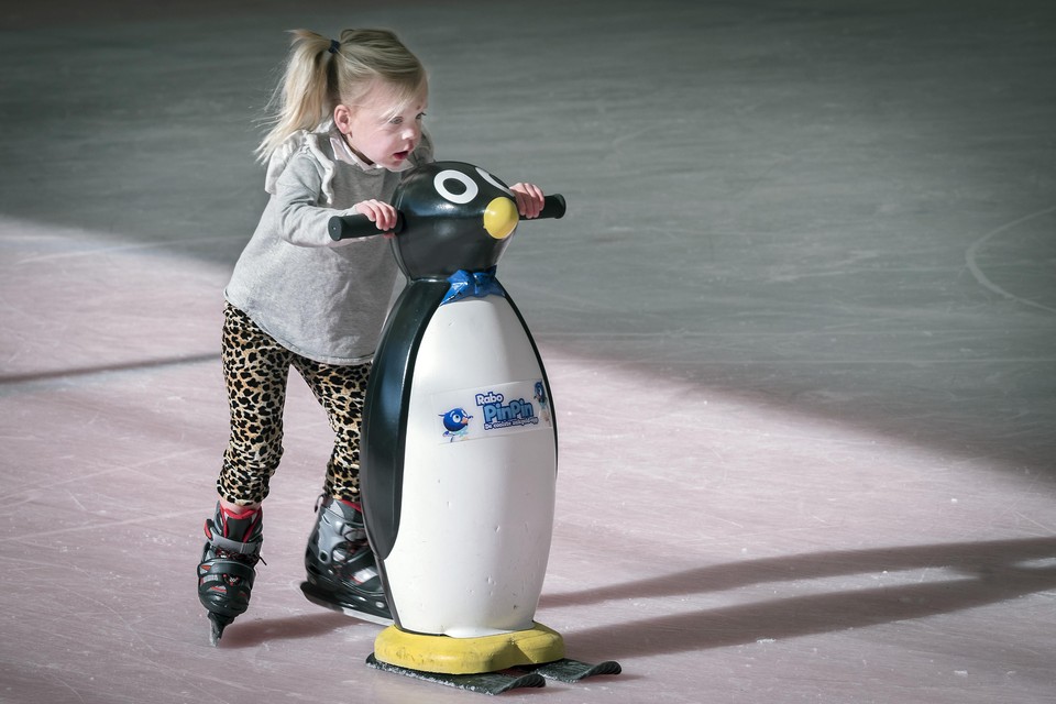 De Raad van State houdt het schaatsen in de zomer op de ijsbaan niet tegen.