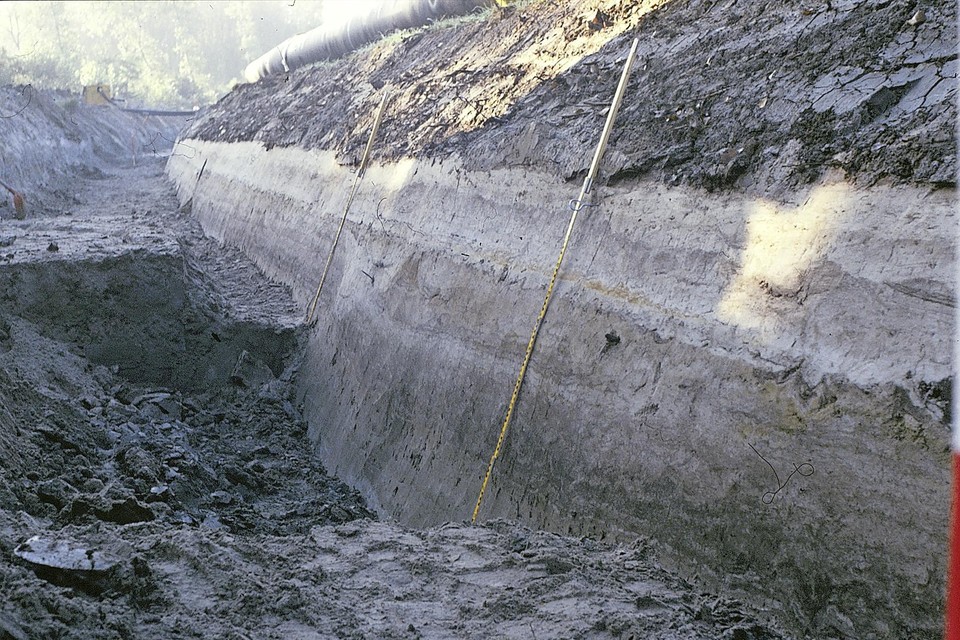 De indruk van de aarden wal als de verdediging van Velsen 2. Uitgegraven in 1997.