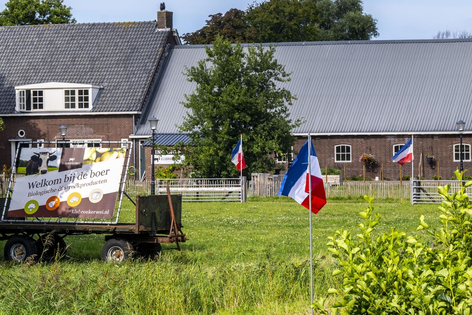 Protestvlaggen bij biologische boerderij De Elsbroekerwei in Hillegom.