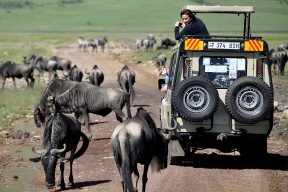  Safari door Serengeti National Park. (Foto: Bob van Huët)