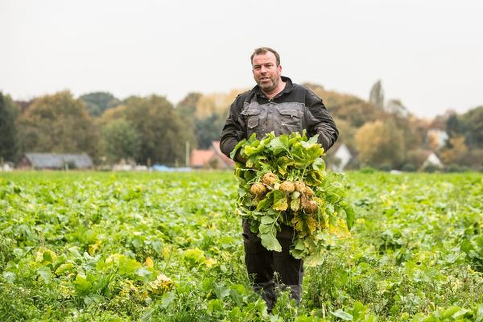 Pieter Kuijer is blij met de mooie oogst aan Soester knollen.