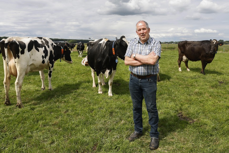 Cor Veldhuisen: ,,Waarom moeten wij onze koeien pesten, terwijl de regering al jarenlang geen fatsoenlijk beleid voert?”