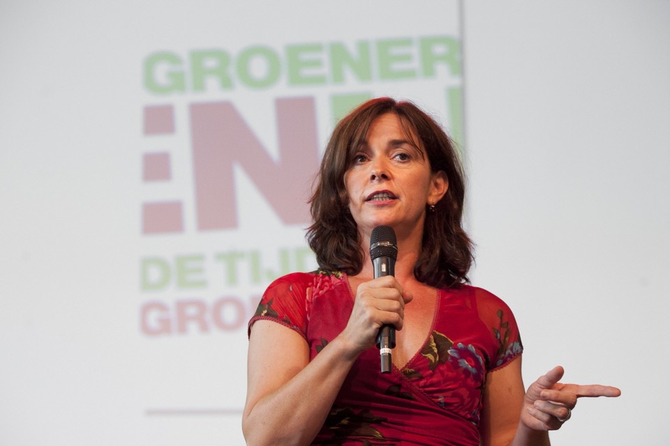 Een op dertien Haarlemse Groenlinksers verlaat partij vanwege Sap. Archieffoto ANP