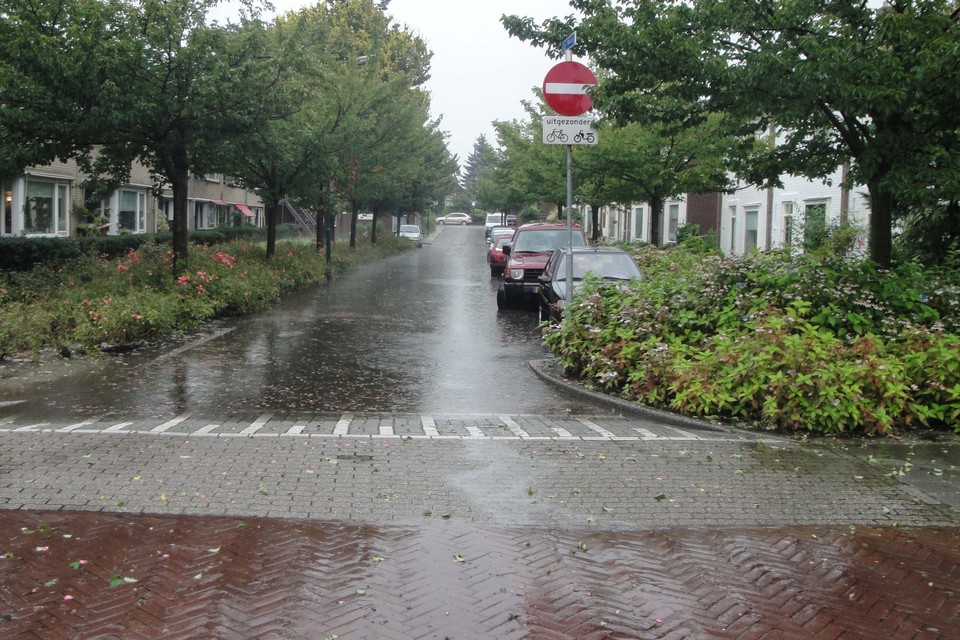 Wateroverlast in de Waag, in Eemnes.  Foto in gestuurd door: Max Haringman