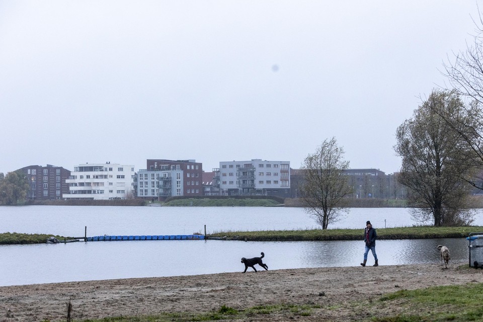 De Westbroekplas, ofwel het surfmeer, in Velserbroek krijgt een ’matig’. Het water is er weliswaar helder en de hoeveelheid voedingsstoffen in het water is goed, zo meldt het rapport, maar er zijn te weinig waterplanten.