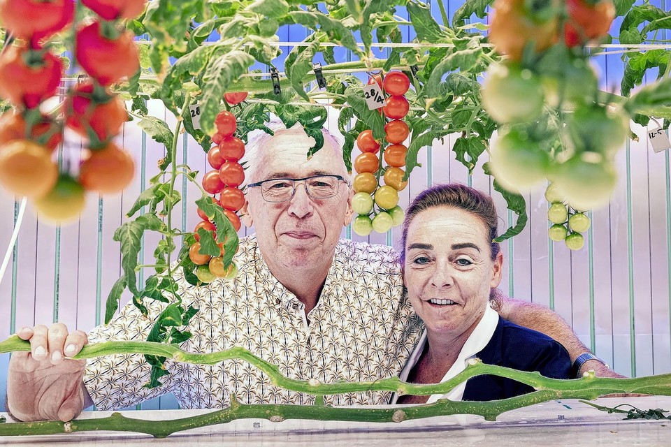 Willem Jonkman en zijn partner Merel kweken onder meer tomaten.