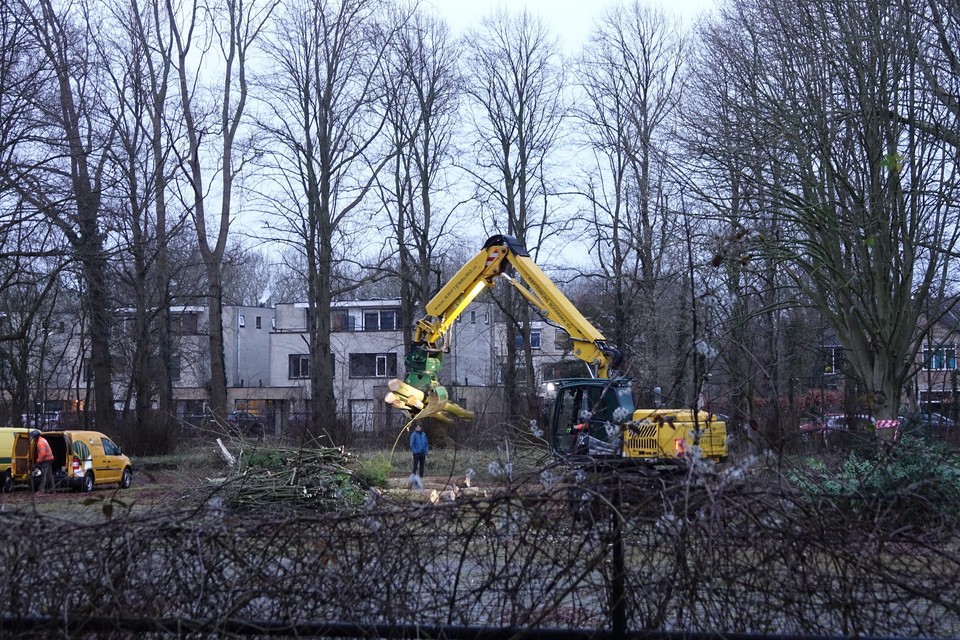 Kap van 23 bomen bij het voormalige Missiehuis in Driehuis.