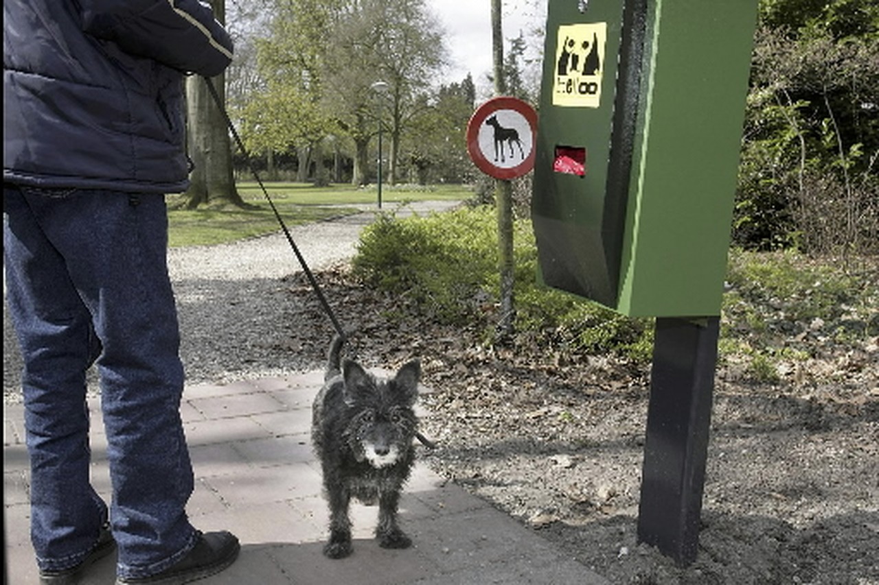 Begroting Bloemendaal: Hondenpoepzakjes ook jaar | Haarlemsdagblad
