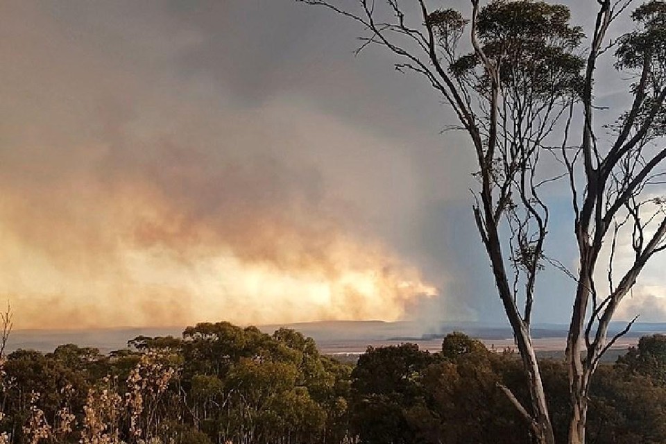 Bosbranden in Australië