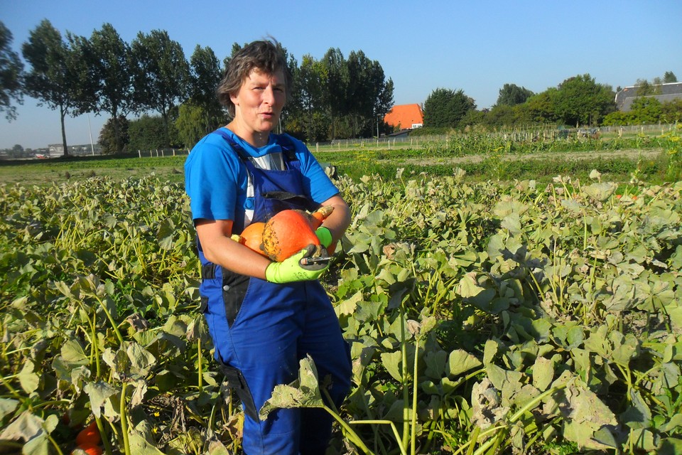 Miriam Geurts wil bij Jeugdland Nieuw-Vennep een buurtmoestuin beginnen. 
