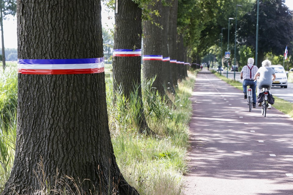 Stickers met omgekeerde vlaggen om bomen, zoals hier op de Wakkerendijk, veroorzaken minder schade dan om lantaarnpalen.