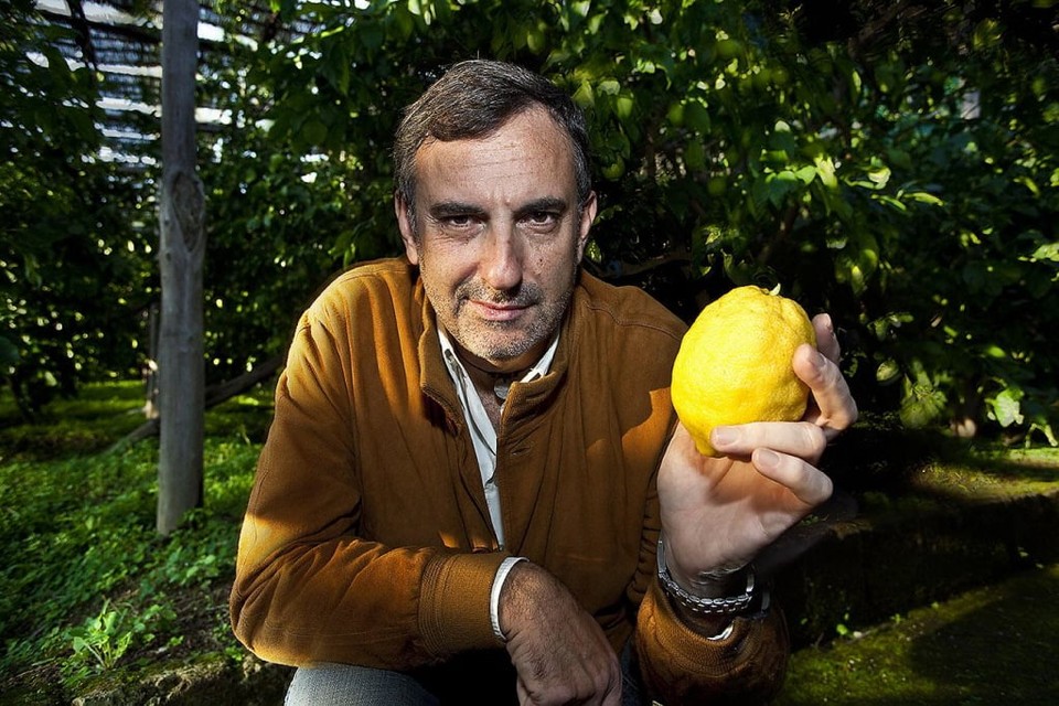 Stefano Massa, mede-eigenaar/directeur van Villa Massa, heeft zojuist een citroen geplukt. Foto Holland Media Combinatie