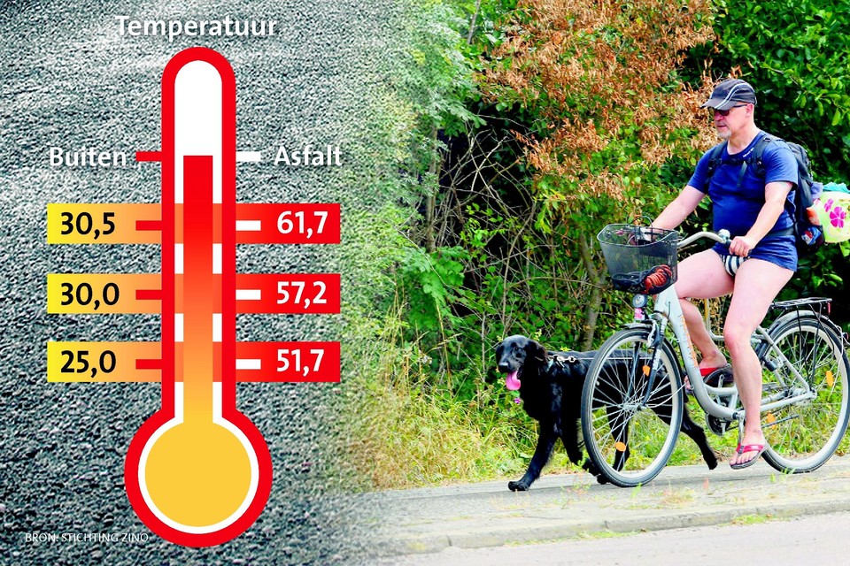 Asfalt is met de hoge temperaturen van de afgelopen weken al snel veel te heet voor hondenpootjes.