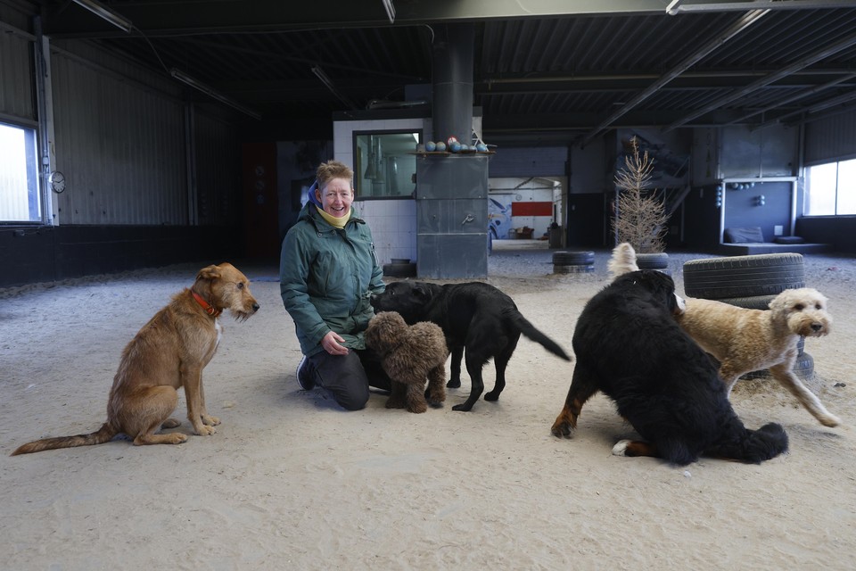 Hondenopvang Joppes Academie uit Weesp stopt per april.