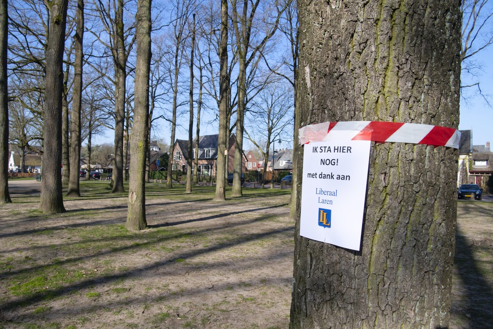 Het plan om bomen te kappen op de Brink leidde enkele jaren geleden tot veel verzet onder Laarders.