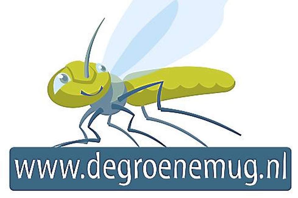 Groene Mug, symbool voor duurzaam Haarlem