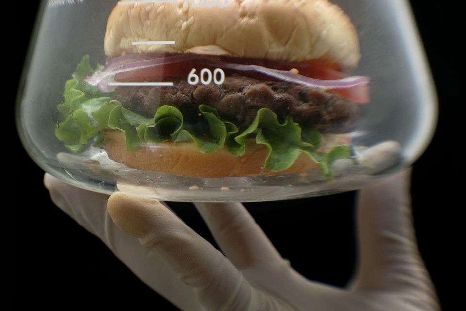 Photograph to illustrate a story in Health on efforts to actually grow meat in a lab. known as ' In vitro meat' , also known as laboratorygrown meat. In recent years, some scientists are experimentally growing in vitro meat in laboratories. (Photo by Spencer Weiner/Los Angeles Times via Getty Images)