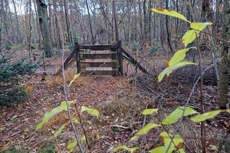 Het eigen hek van de bewoner van de Utrechtseweg, gezien vanuit de tuin, is niet ’vee-werend’ genoeg.