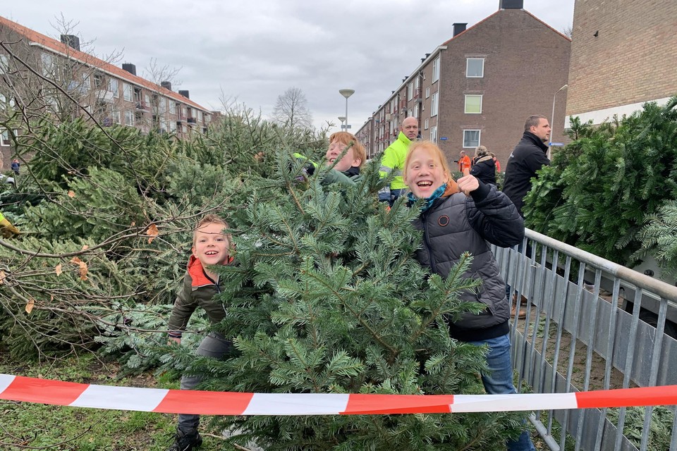 Chris (links) en zijn zusje Maud (niet op de foto) hebben met hun vrienden David en Karoy maarliefst 104 kerstbomen ingezameld. Die leveren ze in op het Burgemeester Weertsplantsoen in Santpoort-Noord.