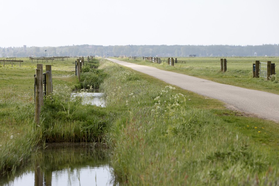 De bermen in een deel van de polder moeten zo snel mogelijk ecologisch worden gemaaid.