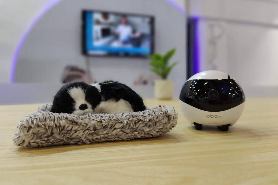 Enabot vermaakt het huisdier en functioneert als beveiligingscamera.