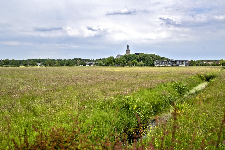 De provincie wil nog nader onderzoek doen, voordat er een besluit wordt genomen over ontgrenzen van gebieden uit het Natuur Netwerk Nederland.