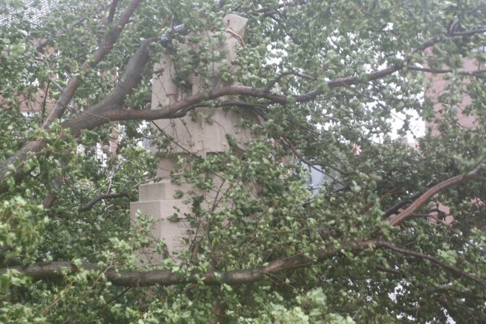 Een van de bomen waaide op het monument