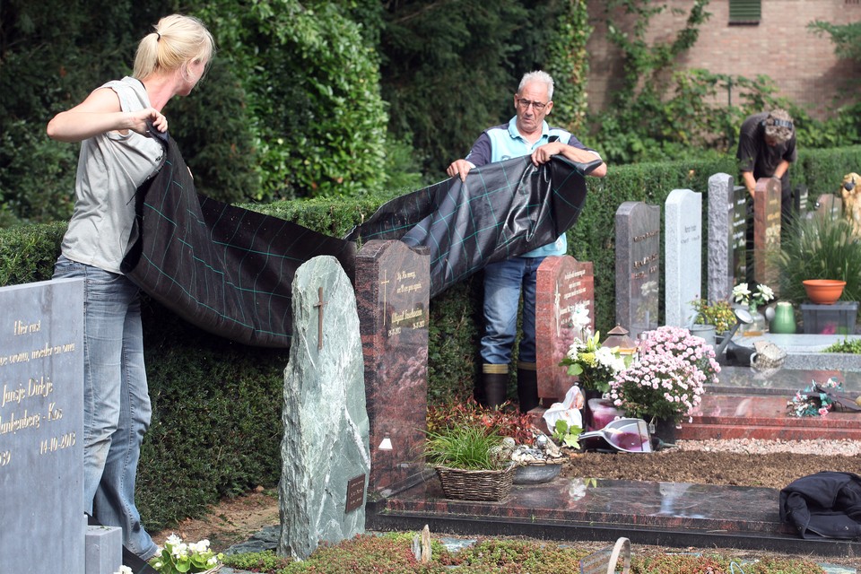 Vrijwilligers Stella Hartman en Wim Bausewein helpen op de Nieuwe Begraafplaats in Huizen met het verzamelen van taxussnoeisel.