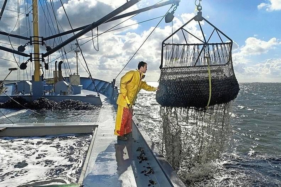 Een visser inspecteert de vangst.