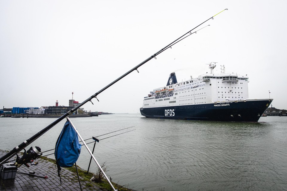 Een ferry uit Newcastle komt aan in IJmuiden.