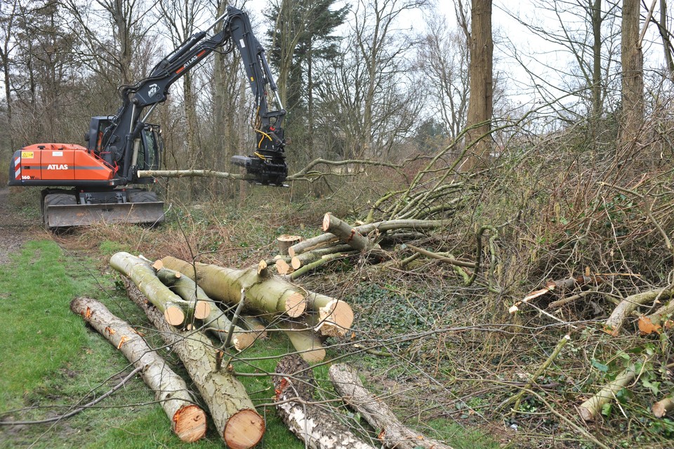 Bomen in het park De Velst moeten weg voor nieuwbouw.