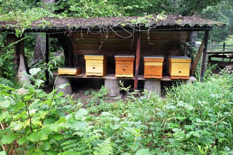 De bijenkasten van Noordanus voor haar heerlijke honing.